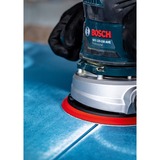 Bosch Expert C470 Schleifblatt, Ø 150mm, K240 Multilochung 50 Stück, für Exzenterschleifer