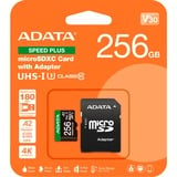 ADATA SPEED PLUS microSDXC 256 GB, Speicherkarte UHS-I U3, Class 10, V30, A2