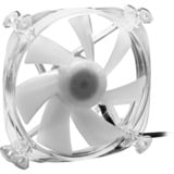 Sharkoon SHARK Disc RGB Fan, Gehäuselüfter transparent, 120 mm