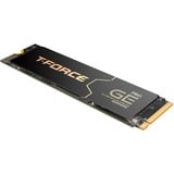 Team Group T-FORCE GE Pro 1 TB, SSD schwarz/gold, PCIe 5.0 x4 | M.2 2280 | Graphen-Kühlkörper