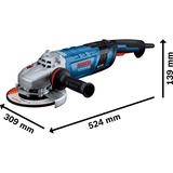 Bosch Winkelschleifer GWS 30-180 PB Professional blau/schwarz, 2.800 Watt