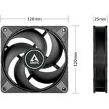 Arctic P12 Max, Gehäuselüfter schwarz, 120 mm