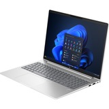 HP ProBook 460 G11 (9C0C4EA), Notebook silber, Windows 11 Pro 64-Bit, 40.6 cm (16 Zoll), 256 GB SSD