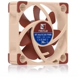 Noctua NF-A4x10 24V PWM, Gehäuselüfter braun/beige, 40 mm