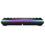 ENDORFY Thock Compact Wireless Pudding, Gaming-Tastatur schwarz, DE-Layout, Kailh Box Red