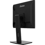 iiyama PROLITE B1980D-B5, LED-Monitor 48 cm (19 Zoll), schwarz, SXGA, TN, VGA, DVI