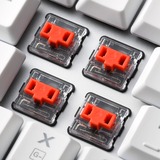 Sharkoon PureWriter RGB, Gaming-Tastatur weiß, DE-Layout, Kailh Choc Low Profile Red