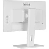 iiyama ProLite XUB2292HSU-W6, LED-Monitor 55 cm (22 Zoll), weiß (matt), FullHD, IPS, AMD Free-Sync, 100Hz Panel