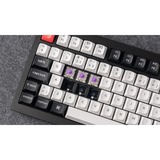 Keychron Q1 HE, Gaming-Tastatur schwarz/weiß, DE-Layout, Gateron Double-Rail Magnetic Nebula, Hot-Swap, Aluminiumrahmen, RGB