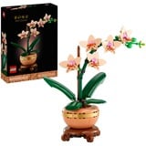 LEGO 10343 Botanicals Mini-Orchidee, Konstruktionsspielzeug 