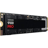 9100 PRO 1 TB, SSD