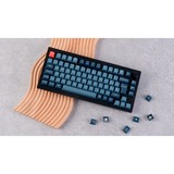 Keychron V1 Max, Gaming-Tastatur schwarz/blaugrau, DE-Layout, Gateron Jupiter Brown, Hot-Swap, RGB