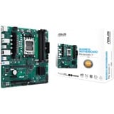 ASUS PRO B650M-CT-CSM, Mainboard grün