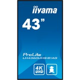 iiyama ProLite LH4360UHS-B1AG, Public Display schwarz (matt), UltraHD/4K, VA, Lautsprecher