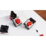 Keychron Low Profile Mechanical Red Switch-Set, Tastenschalter transparent, 110 Stück