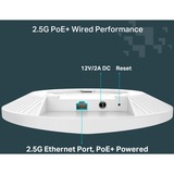 TP-Link Festa F67, Access Point 