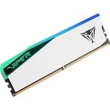 Patriot DIMM 32 GB DDR5-5600, Arbeitsspeicher weiß, PVER532G56C38W, Elite 5 RGB, INTEL XMP, AMD EXPO