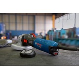 Bosch Winkelschleifer GWS 17-125 TS Professional blau/schwarz, 1.700 Watt