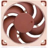 Noctua NF-A6x15 5V, Gehäuselüfter 60 mm