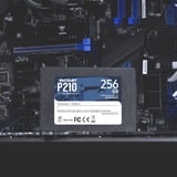 Patriot P210 256 GB, SSD schwarz, SATA 6 Gb/s, 2,5"