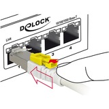 DeLOCK Patchkabel RJ45 Secure Cat.6a S/STP weiß, 0,5 Meter, verriegelbar, LSOH Halogenfrei