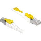 DeLOCK RJ45 Secure Cat. 6A, Kabel weiß, 3 Meter, verriegelbar, LSOH Halogenfrei