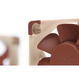 Noctua NF-A4x10 PWM, Gehäuselüfter 