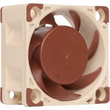 Noctua NF-A4x20 5V, Gehäuselüfter 5 Volt Betriebsspannung, 40 mm