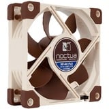 Noctua NF-A8 FLX, Gehäuselüfter 80 mm